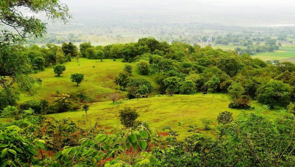Ananthagiri Hills, Vikarabad, Telangana - Vushii.com Ananthagiri Hills, Vikarabad, Telangana - Vushii.com